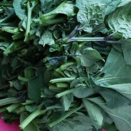 Morelle noire (bilolo, zom, bâam, village vegetables, etc.)
